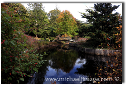 "mytho japanese garden autumn  3"
chappaquiddick island